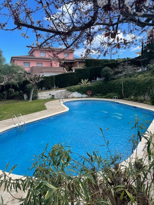 Apartamento Con Piscina En Llanca Exterior photo